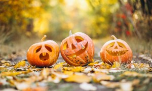 Three carved pumpkins sitting on a street surrounded by fall leaves