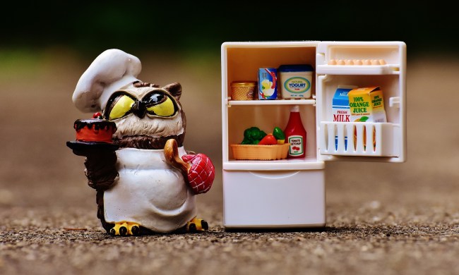Toy penguin next to toy fridge