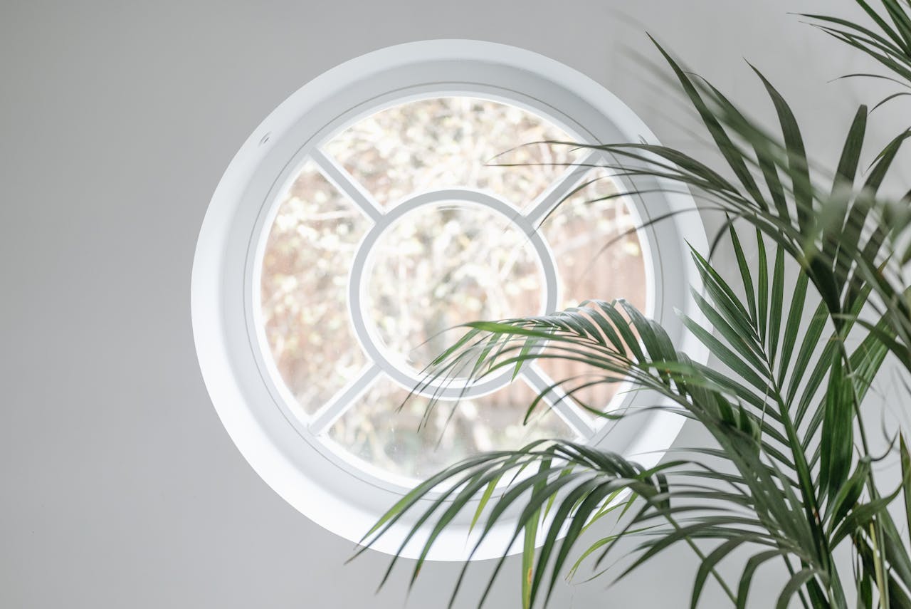 Circle window with a plant next to it