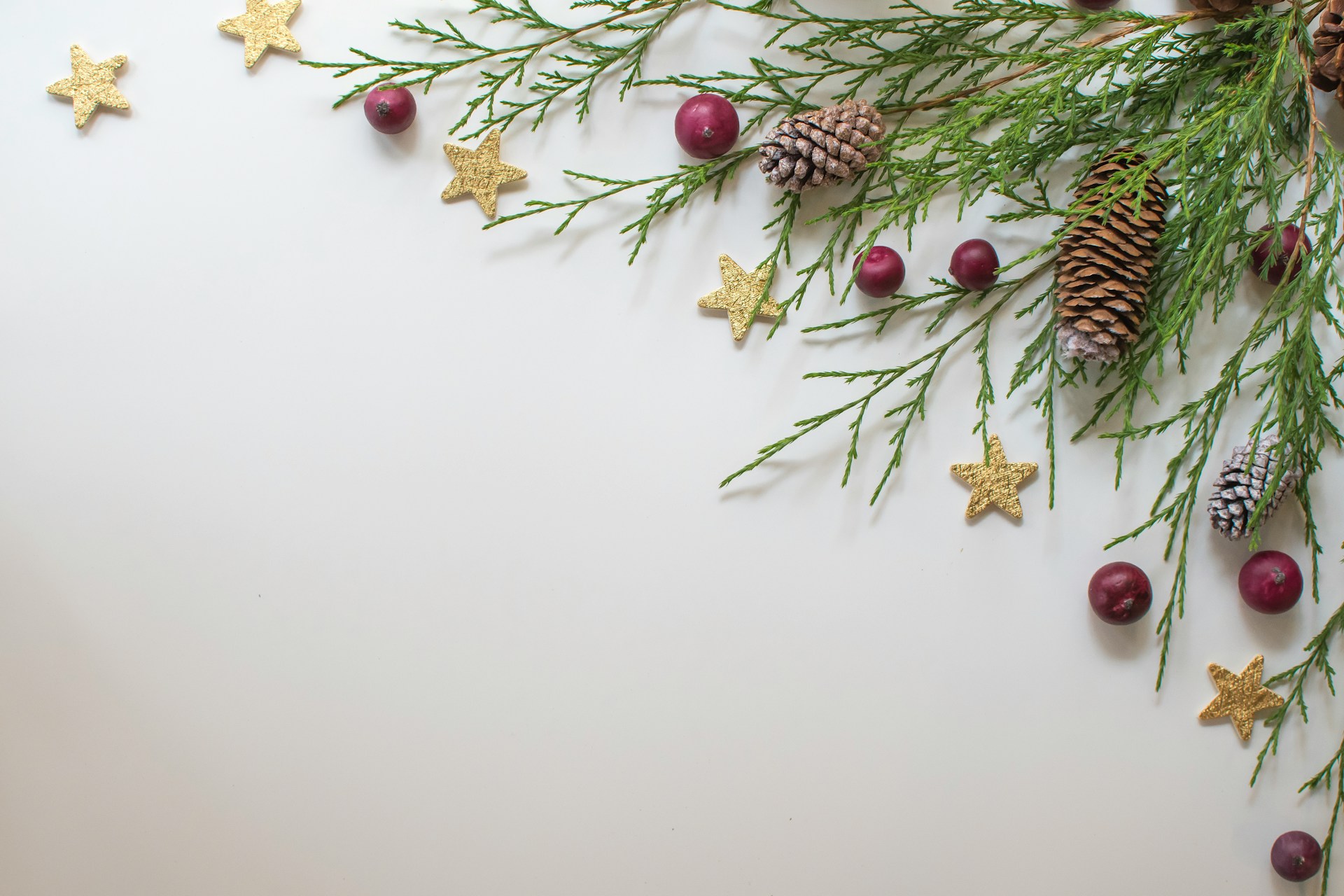 Cranberries and evergreen branches on a white surface