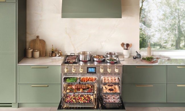 BlueStar induction range