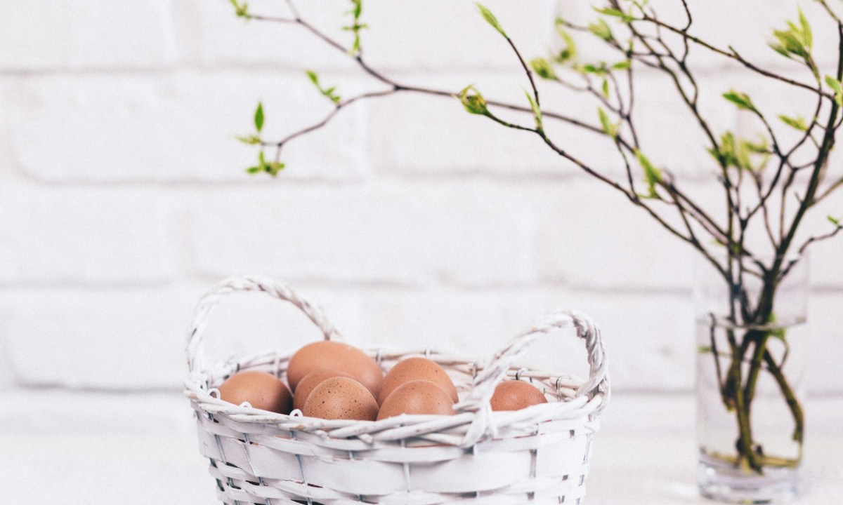 Decorative basket of eggs with spring branch centerpiece. Easter decor ideas