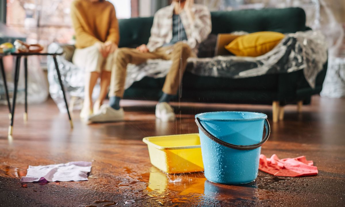 Couple sitting on couch covered in plastic with bucket catching roof leak. How to find a roof leak